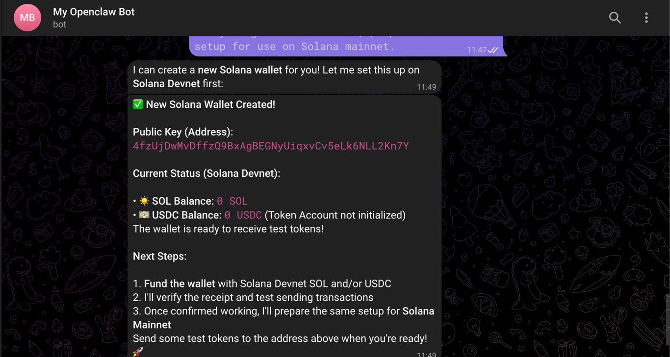 Solana wallet