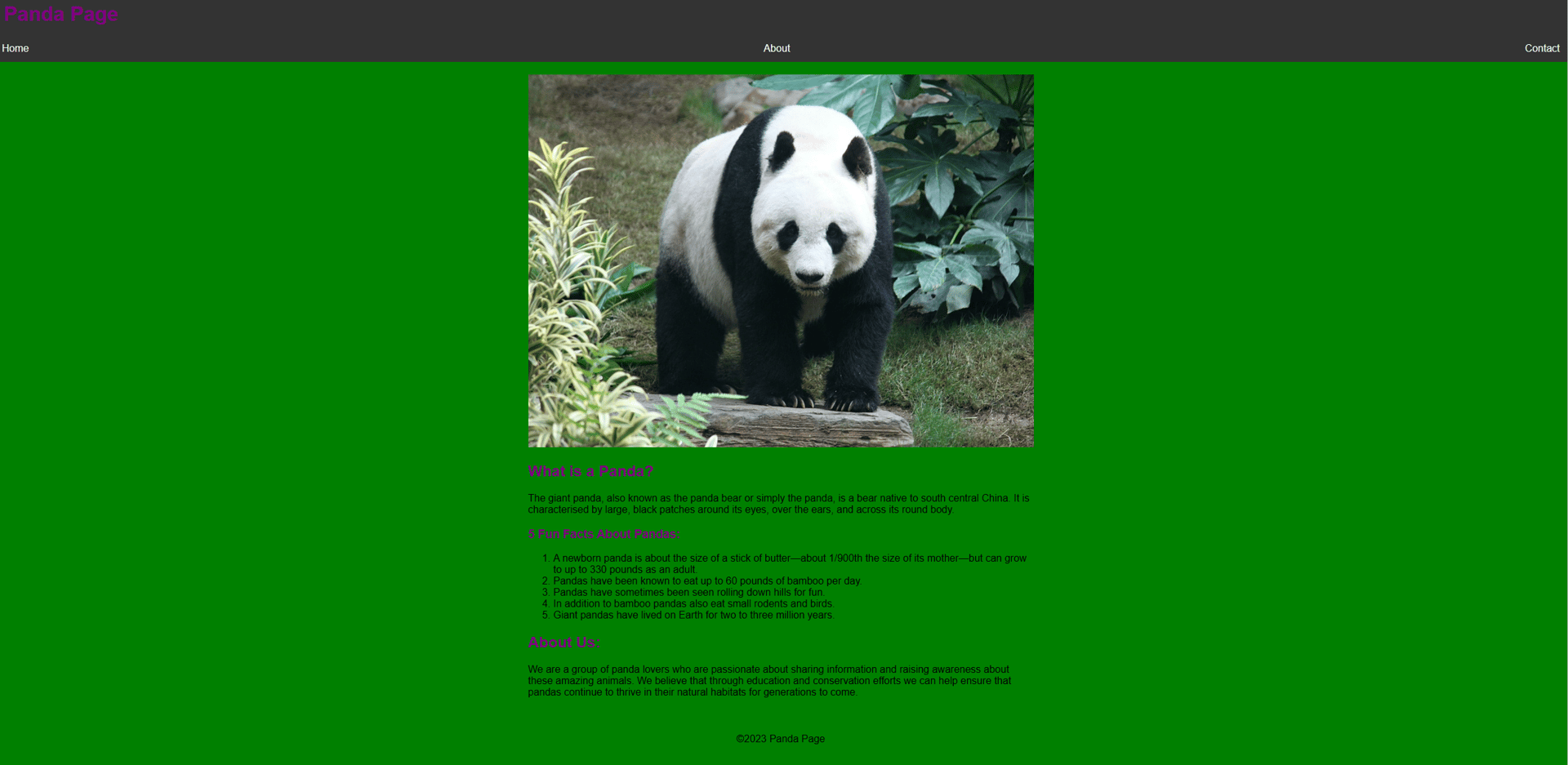 bing panda background