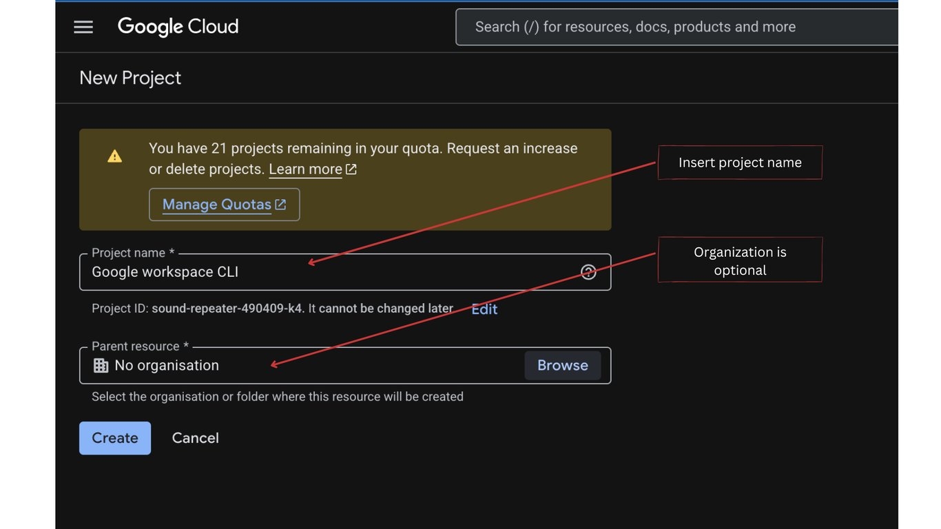 New Project form showing the project name field and optional organization field