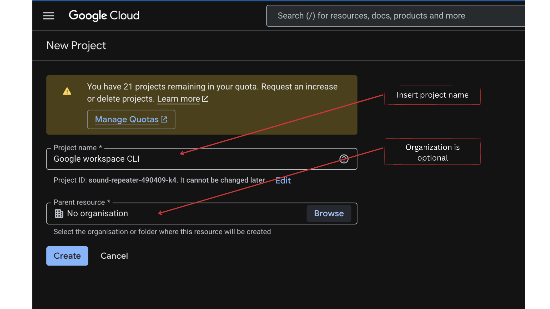 New Project form showing the project name field and optional organization field