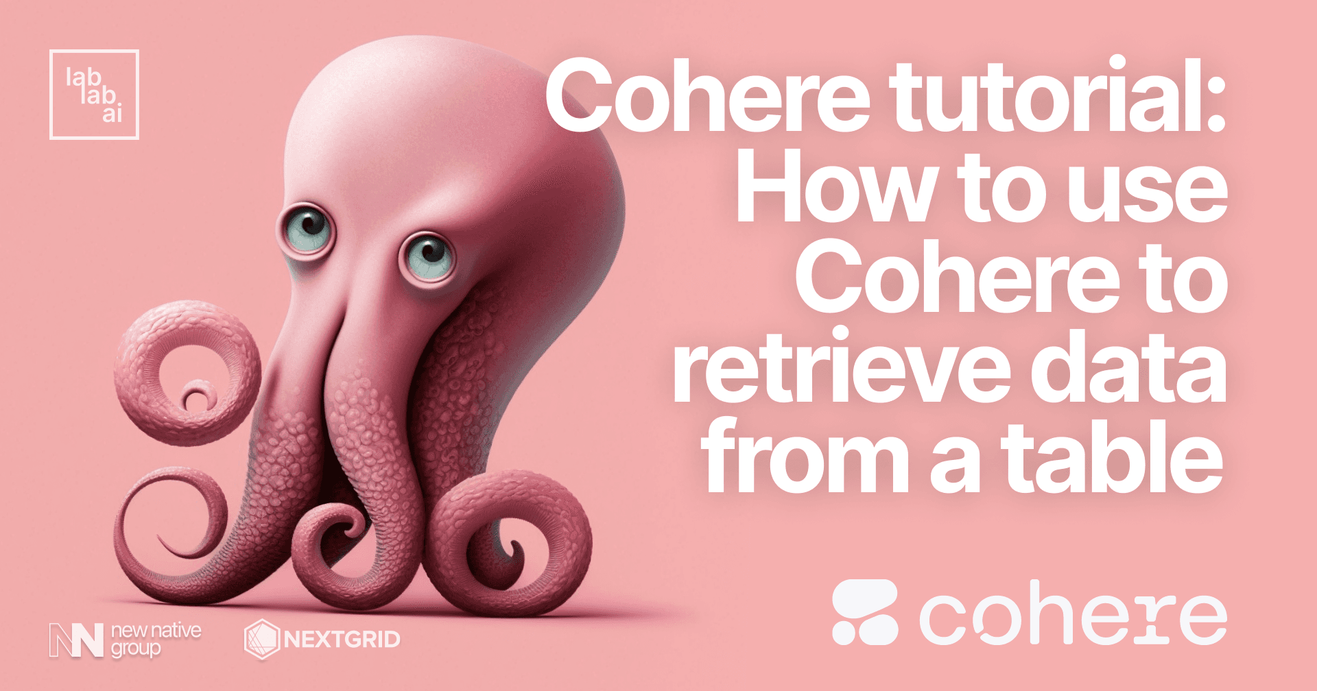 Cohere tutorial: Answering questions based on given data tutorial