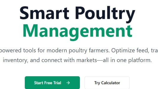 AllPoultry