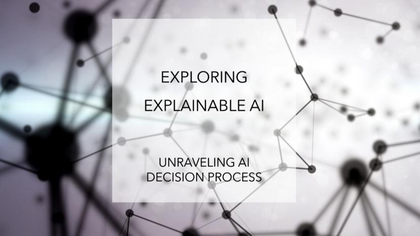 XAI Financial Fraud System