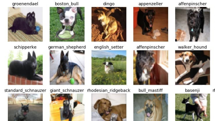 Dog Breed Classifier