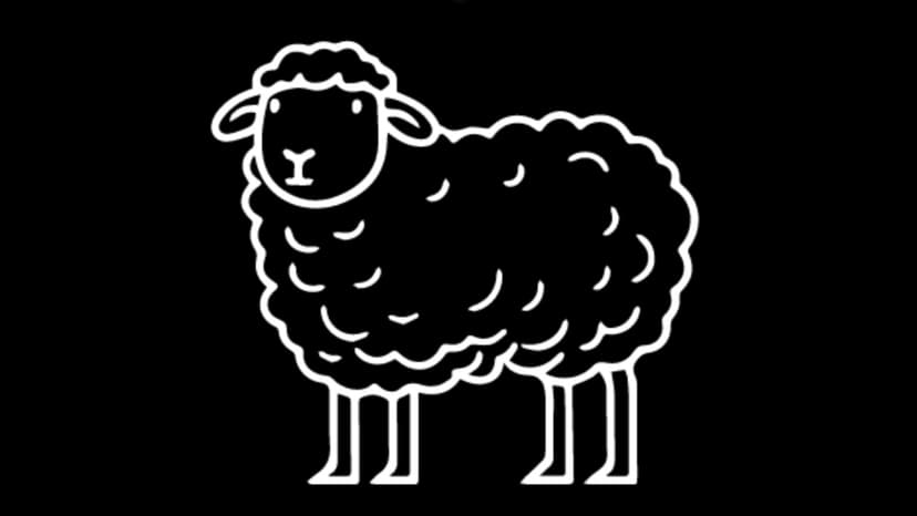 Sheep