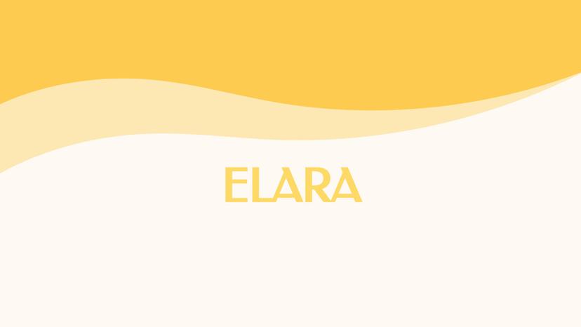 Elara - Financial Advisors Assistant