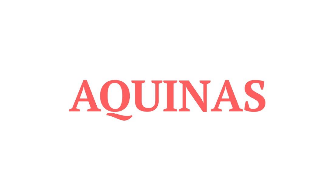 Aquinas - AI-Powered Social Media Engagement Tool