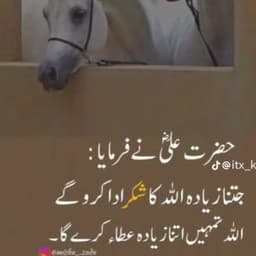 Malikhamza 