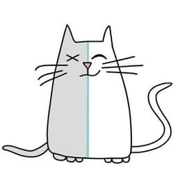 sivq 