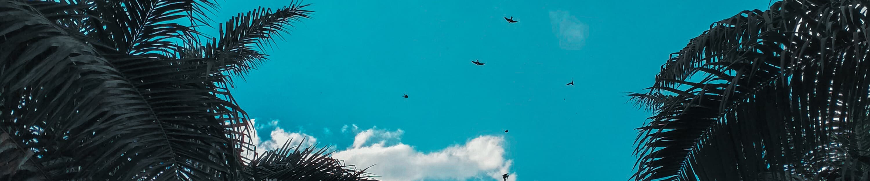 cover photo