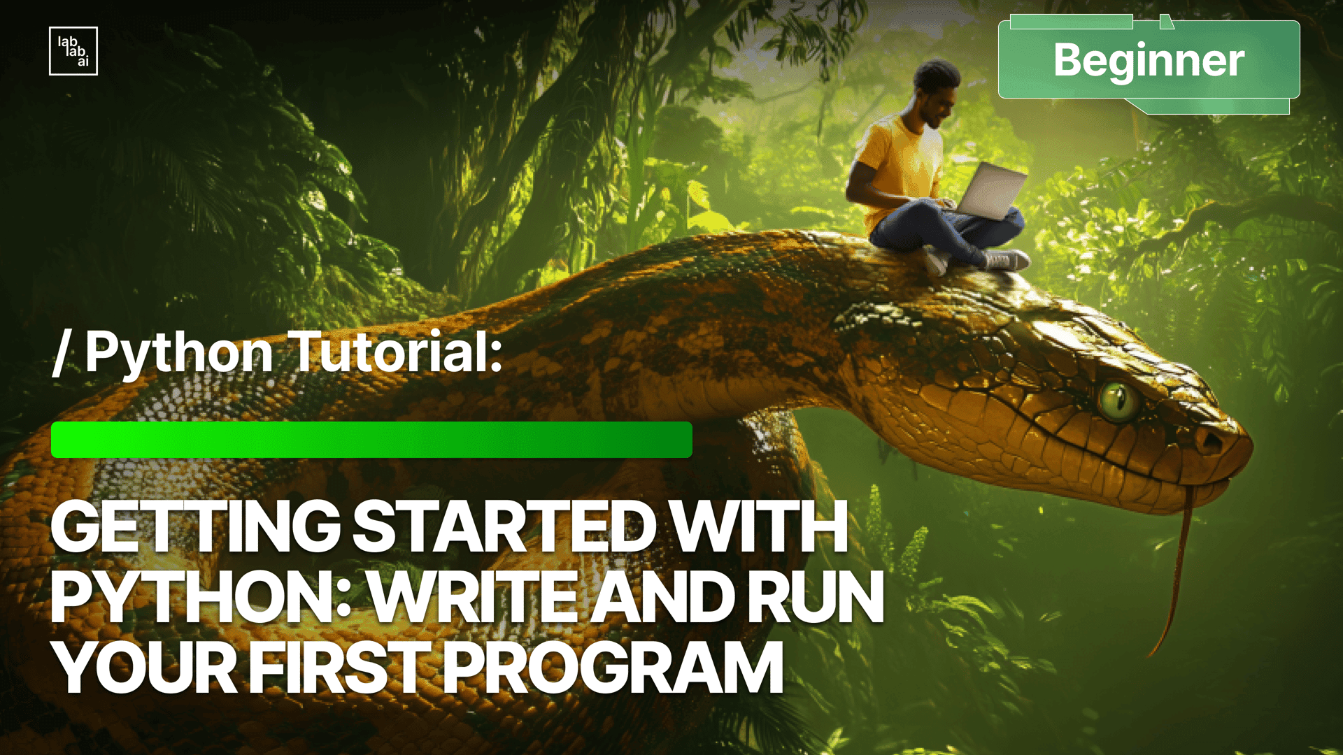 Getting Started with Python: Write and Run Your First Program