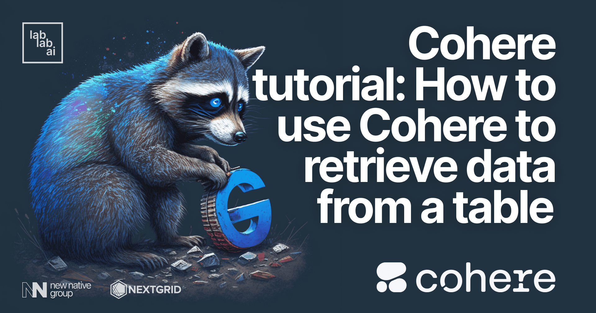 Cohere tutorial: Answering questions based on given data