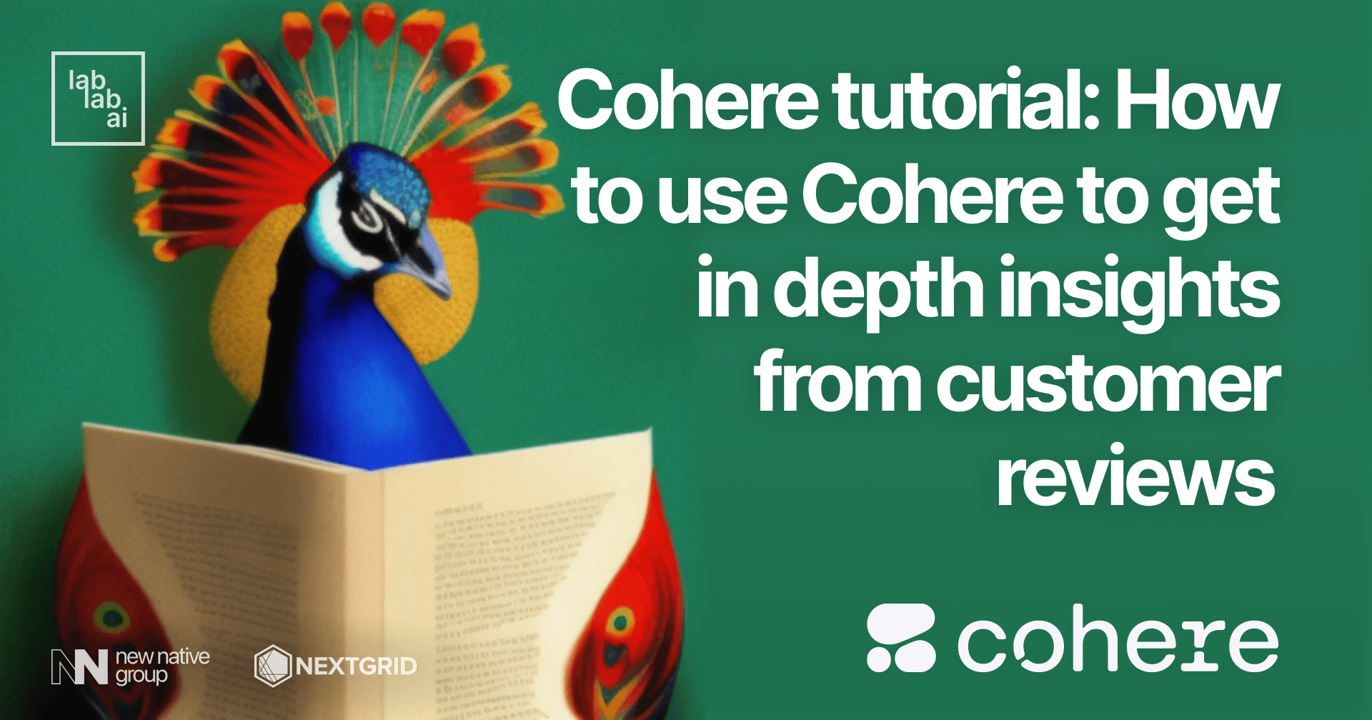 Cohere tutorial: How to use Cohere to get in depth insights from customer reviews