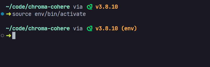 Python environment activation. The terminal prompt starts with `(env)`, indicating that the virtual environment is activated.