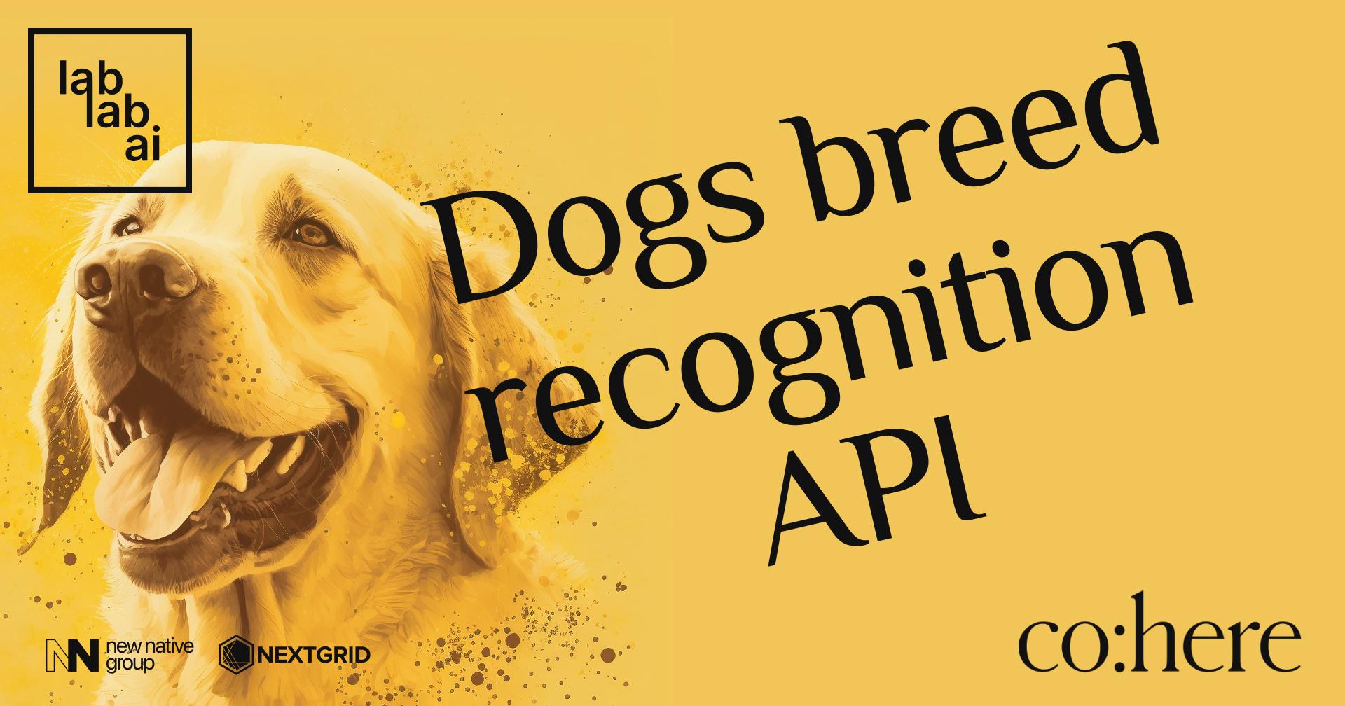 Cohere tutorial: How to create a dog's breed recognition API