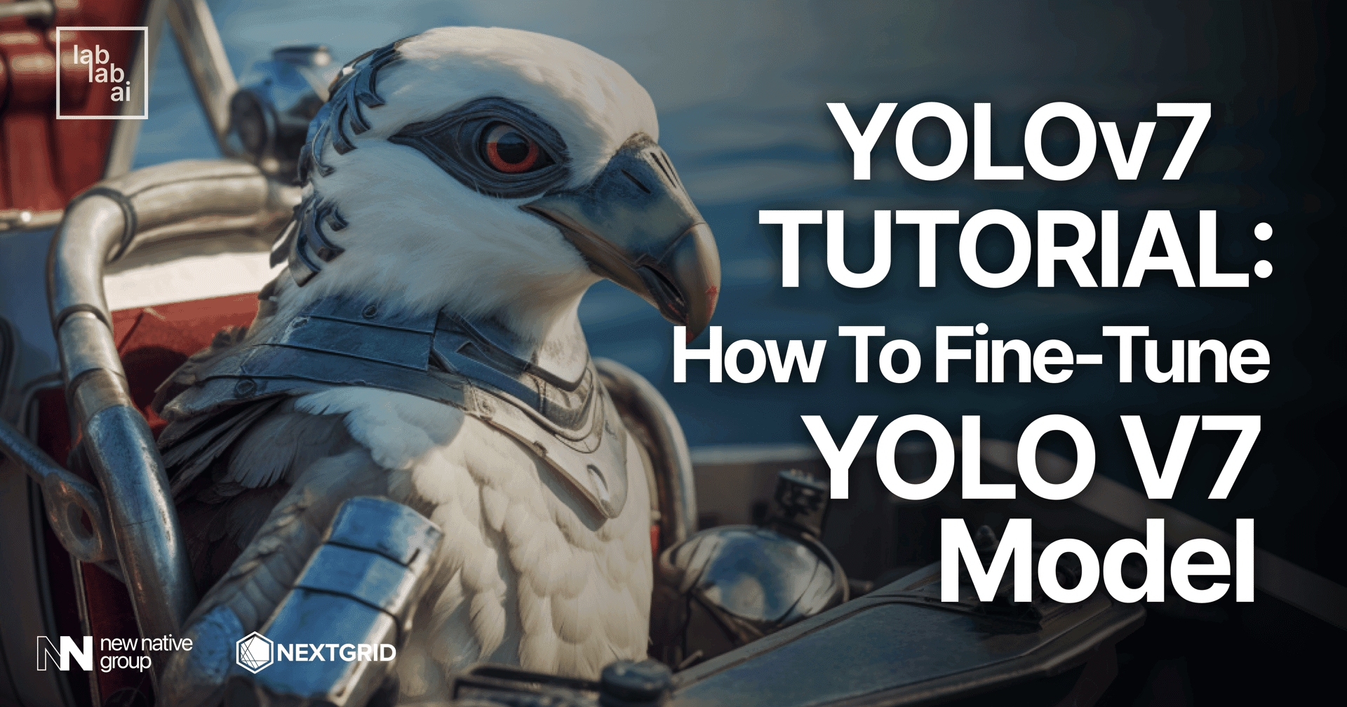 YOLOv7 tutorial: how to fine-tune YOLO v7 model