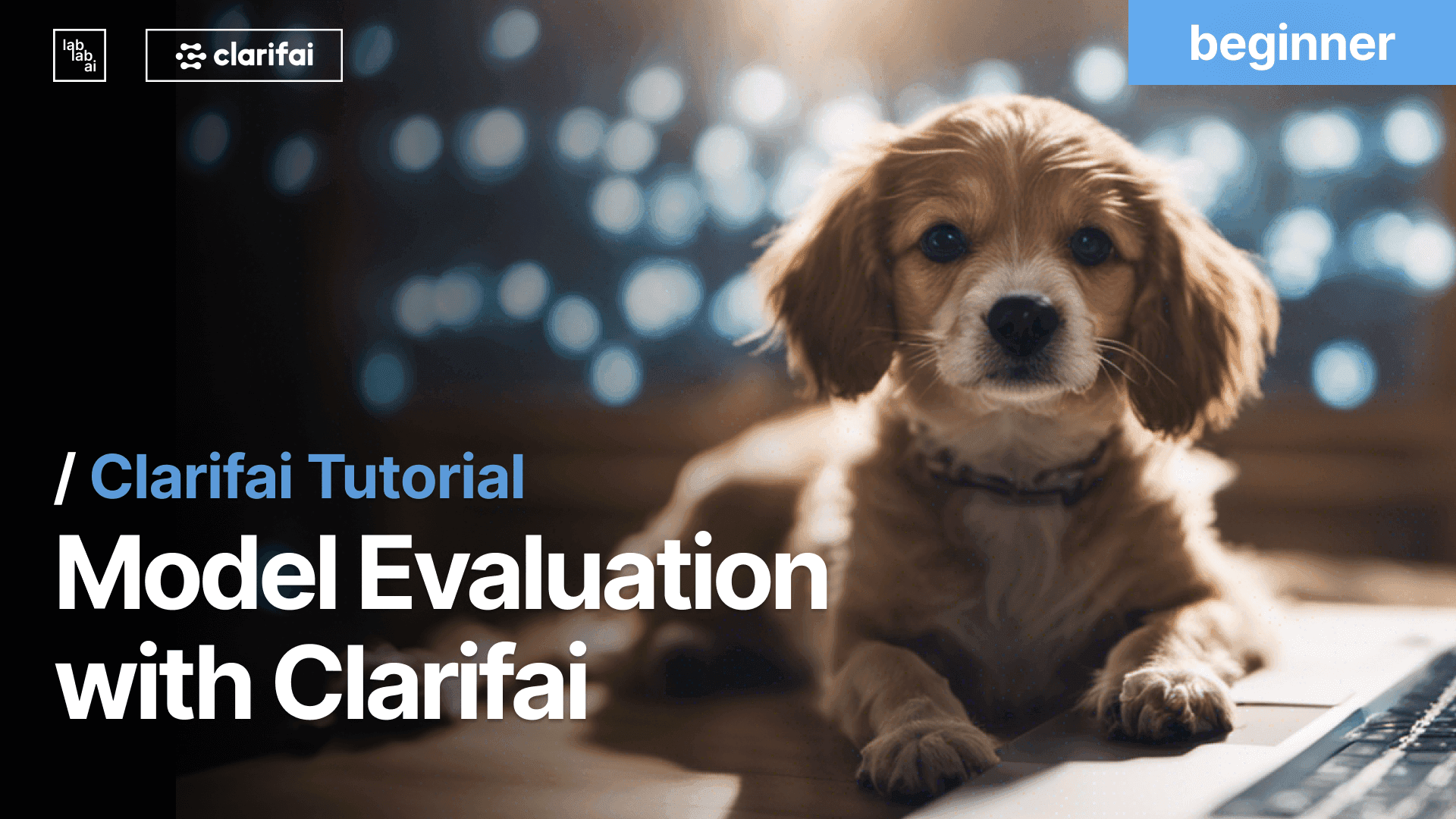 Model Evaluation Tutorial with Clarifai