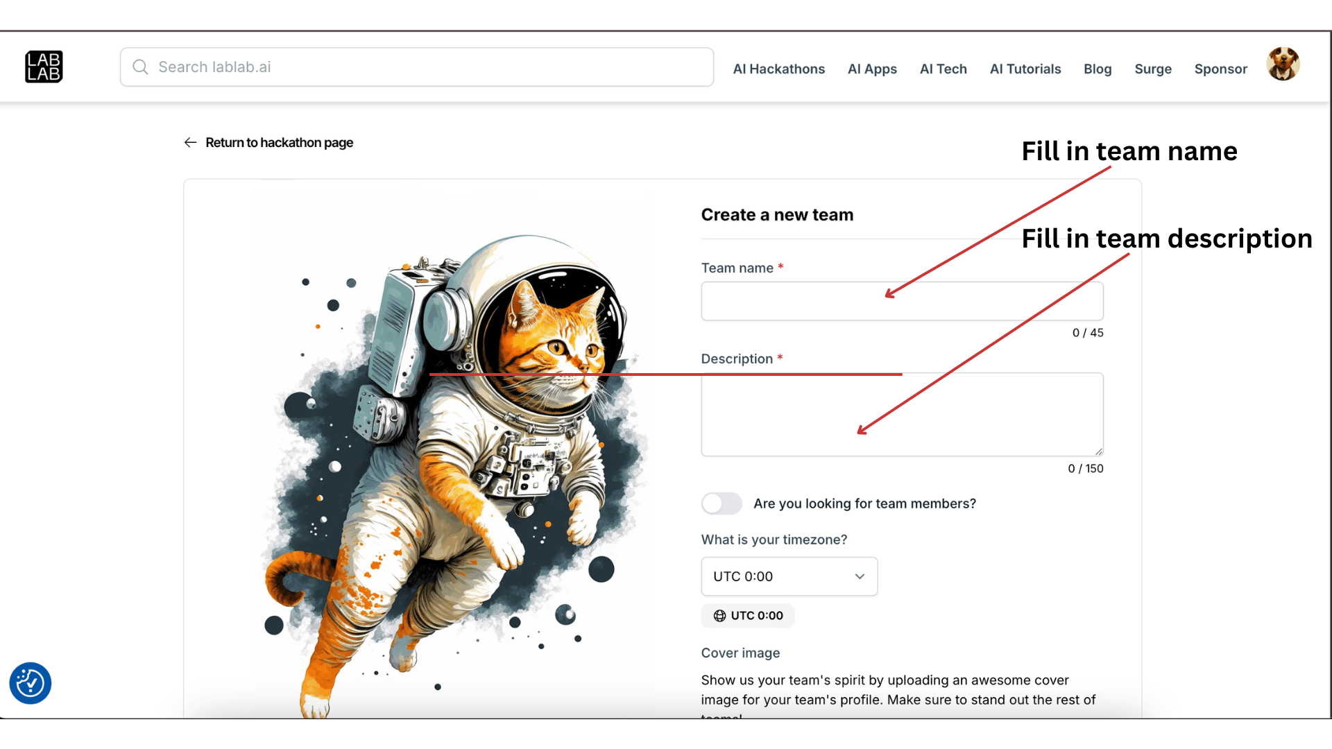 Form to fill in team details