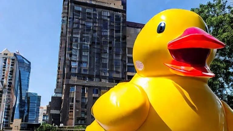 RubberDuck MVP