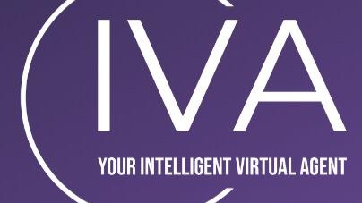 Intellectual Virtual Agent