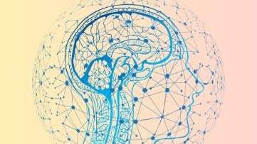 3D NEURAL PATHWAY VISUALIZER