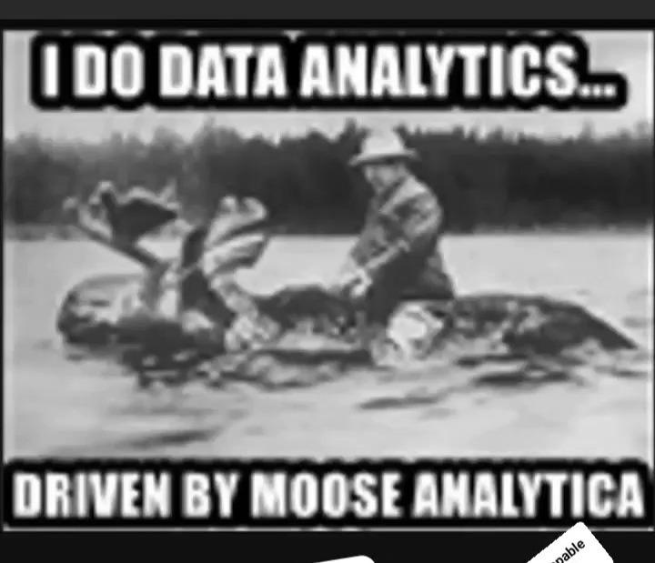 Moose analysis