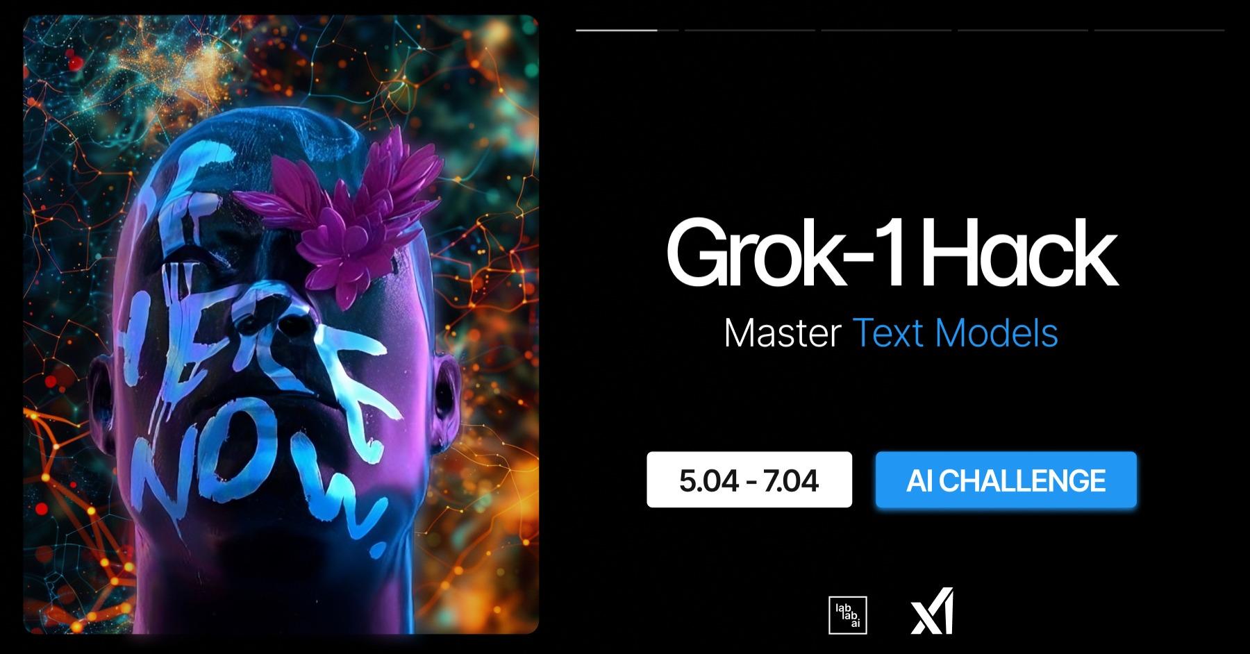 Grok-1 Micro Hack image