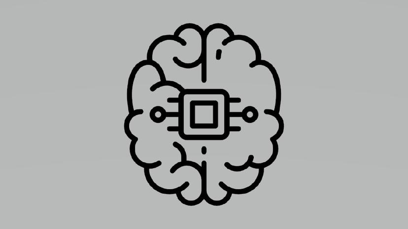 Human Emulation System