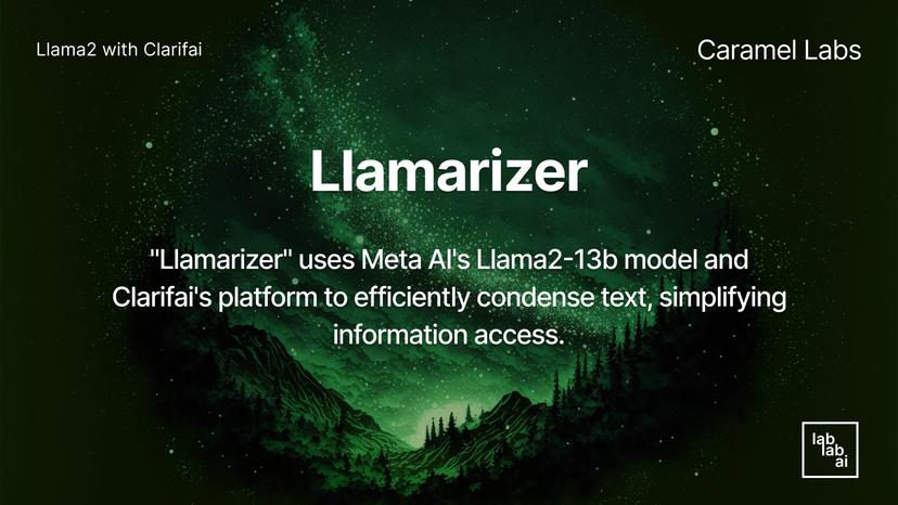 Llamarizer
