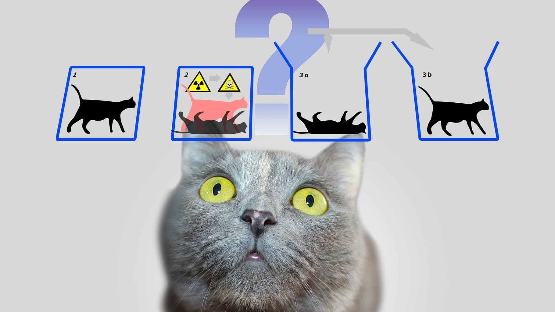 Schrodinger ClarifaiLlama