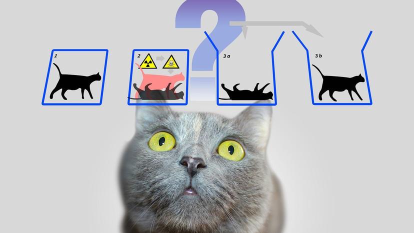 Schrodinger ClarifaiLlama