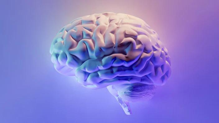 Comprehensive Mental Health Intake Questionnaire