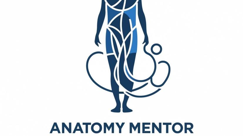 ANATOMY MENTOR