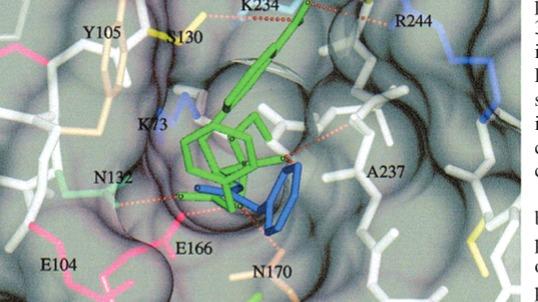 Plinderp - accellerating bio research