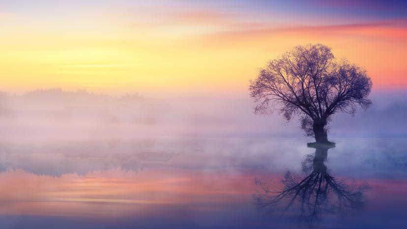 Basic AI Q and A bot