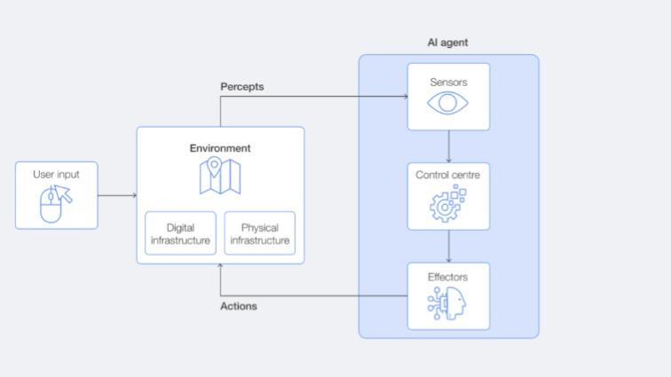Optimizing Network and Energy