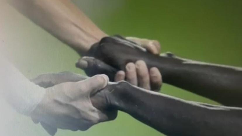 JIN-IND-lablab PROSUS