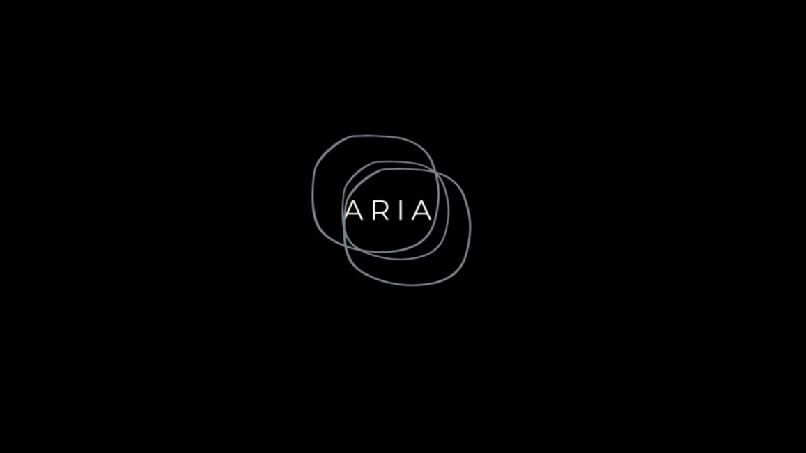 ARIA - Autonomous Report Intelligence Analyst