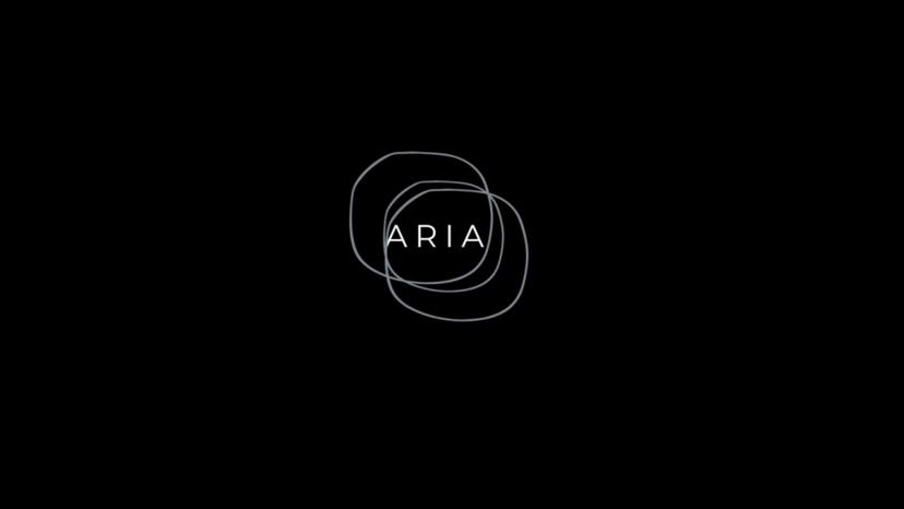 ARIA - Autonomous Report Intelligence Analyst