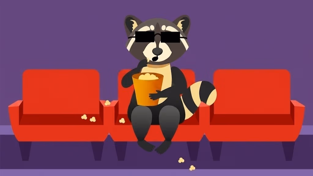 Raccoon Vision Translator