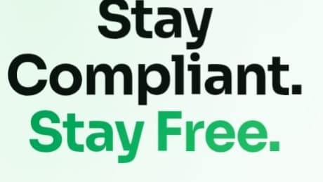 ReguFlow Dev Companion
