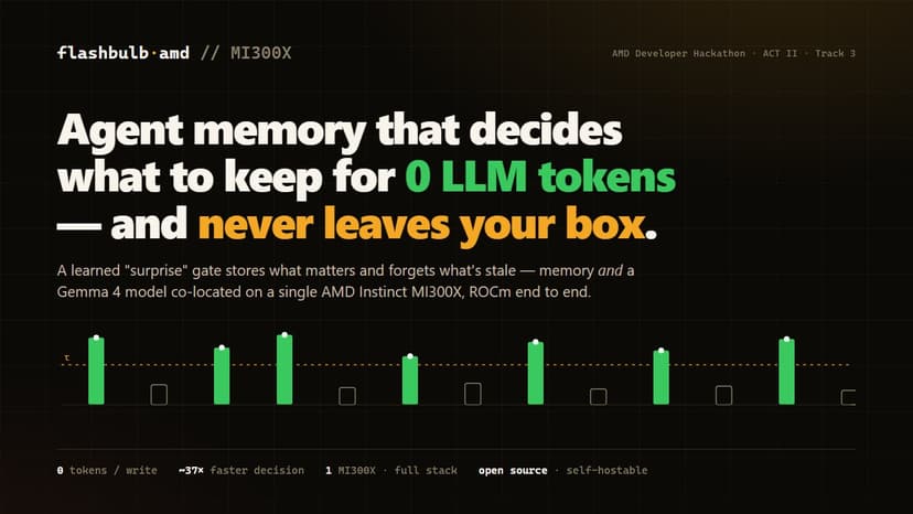 flashbulb-amd: zero-token agent memory on AMD