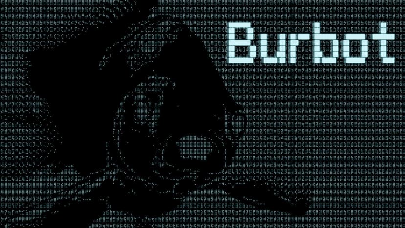 Burbot - CLI API Logic Auditor