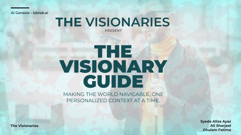 The Visionary Guide