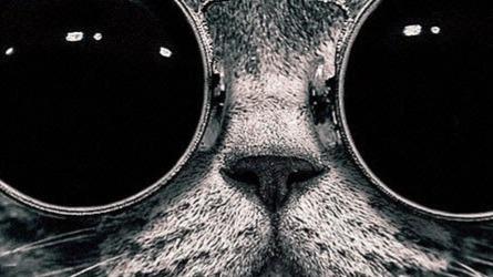 Arc Pay Username-Based Payments on Arc