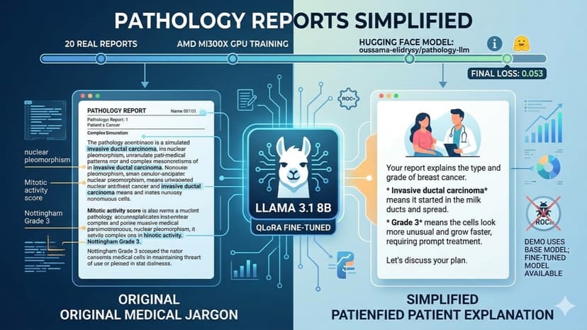 Pathology Report Translator