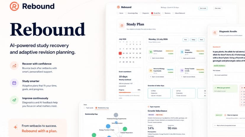 Rebound: The Plan After the Plan Fails