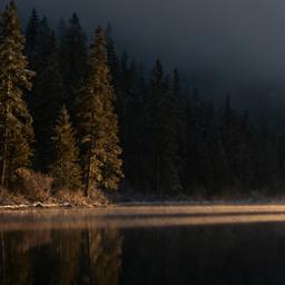 vishnuteja7531byte827