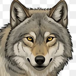 danyal001creator614